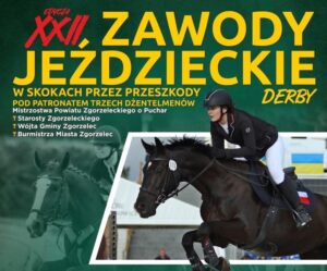 Read more about the article XII Zawody jeździeckie