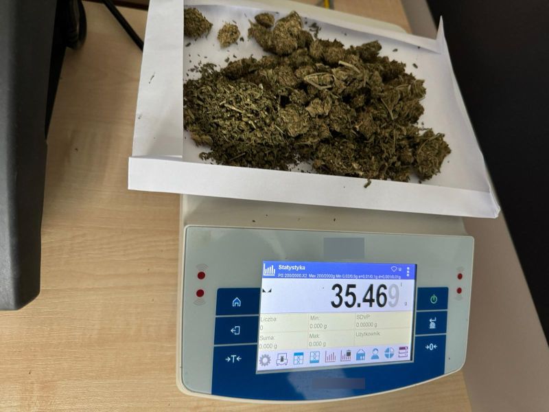 Read more about the article Marihuana zabezpieczona przez policjantów z Bogatyni