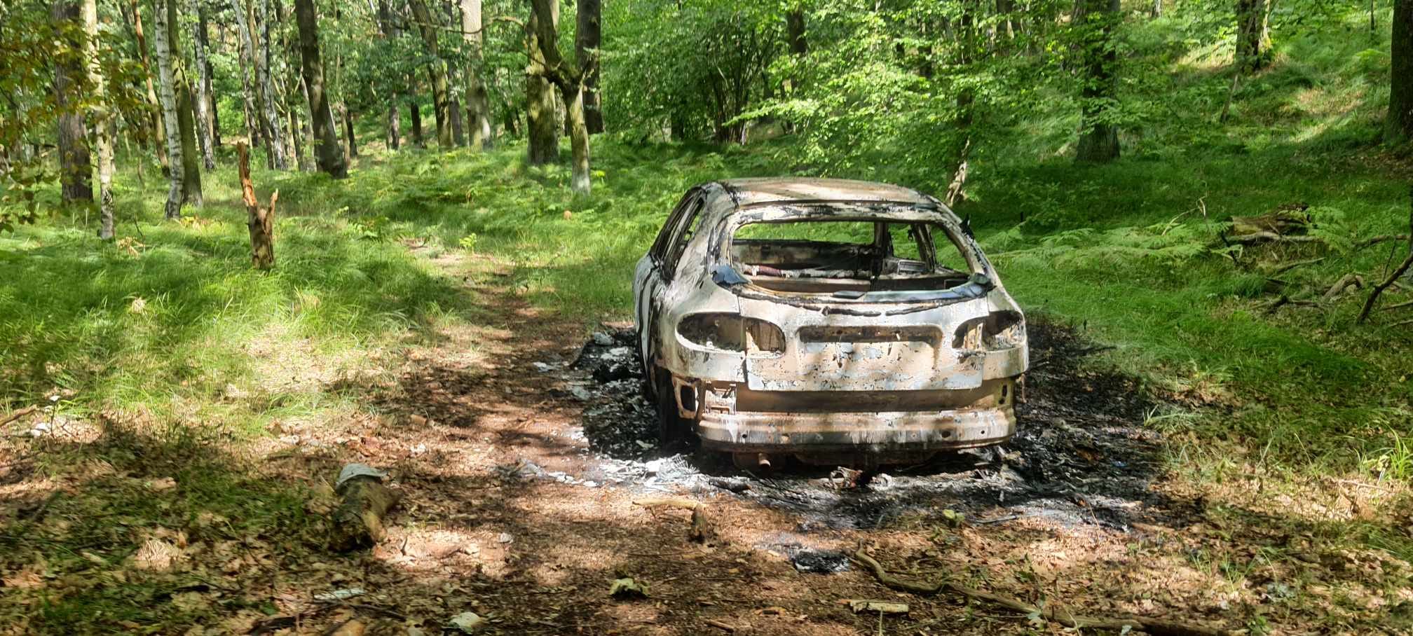 Read more about the article PIEŃSK – Pożar porzuconego samochodu