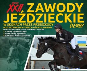 Read more about the article XXII. ZAWODY JEŹDZIECKIE