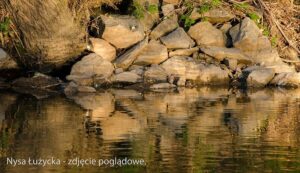 Read more about the article Duży niewybuch z czasów II wojny światowej znaleziony w Nysie Łużyckiej w pobliżu Zittau