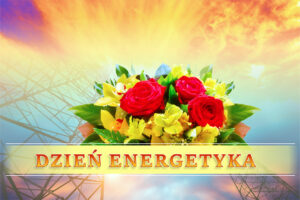 Read more about the article BOGATYNIA – Dzień Energetyka 2024