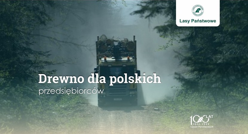 Read more about the article Lasy Państwowe wspierają krajowy przemysł drzewny