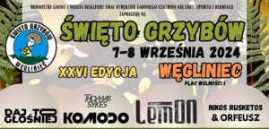 Read more about the article WĘGLINIEC – Znamy program Święta Grzybów