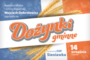 Read more about the article BOGATYNIA – Dożynki Gminne