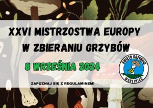 Read more about the article WĘGLINIEC – Ruszają zapisy na XXVI Mistrzostwa Europy w Zbieraniu Grzybów