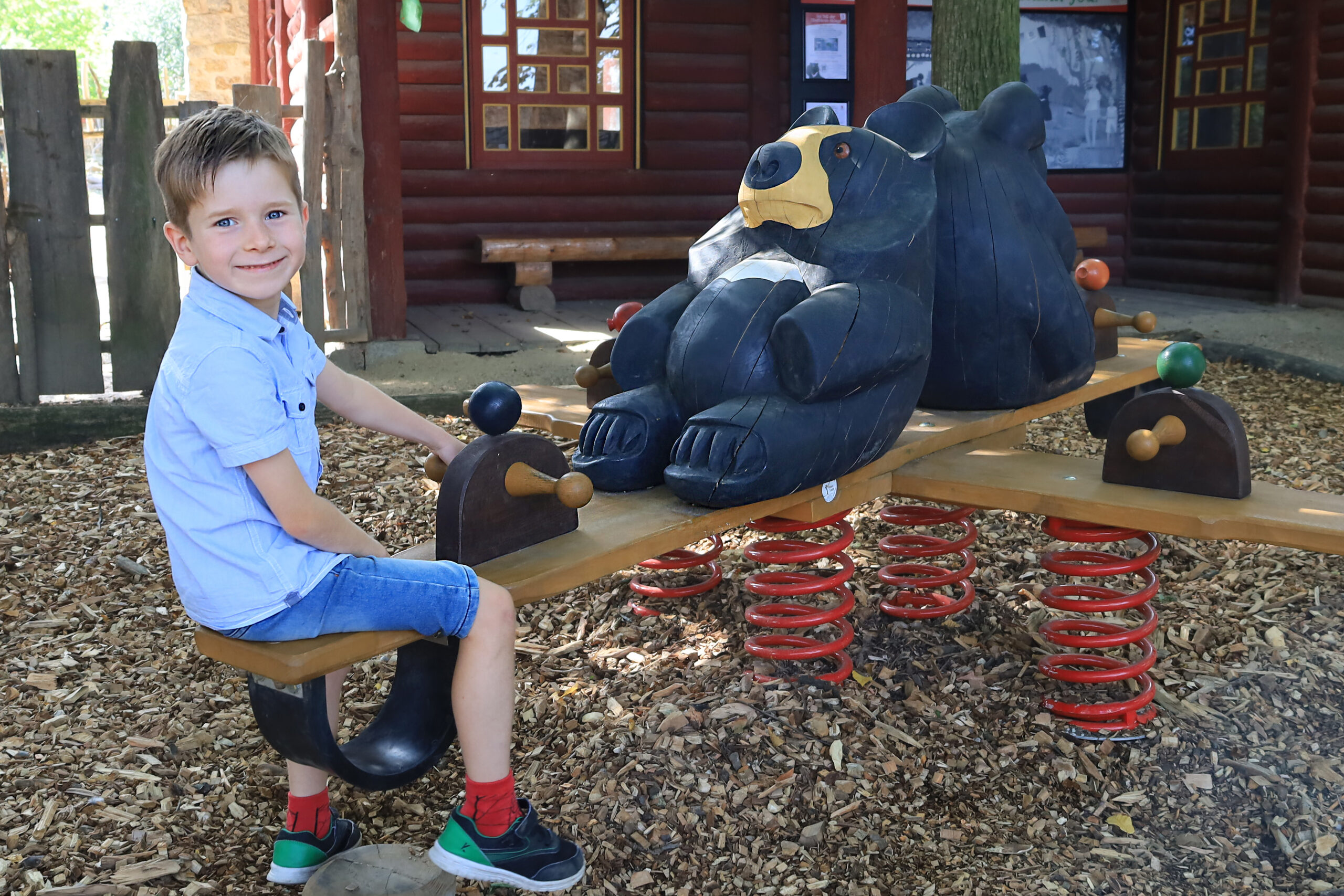 Read more about the article „Bujać” się z niedźwiedziami tybetańskimi w Zoo Görlitz