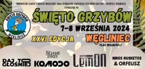 Read more about the article WĘGLINIEC – XXVI edycja Święta Grzybów już w najbliższy weekend