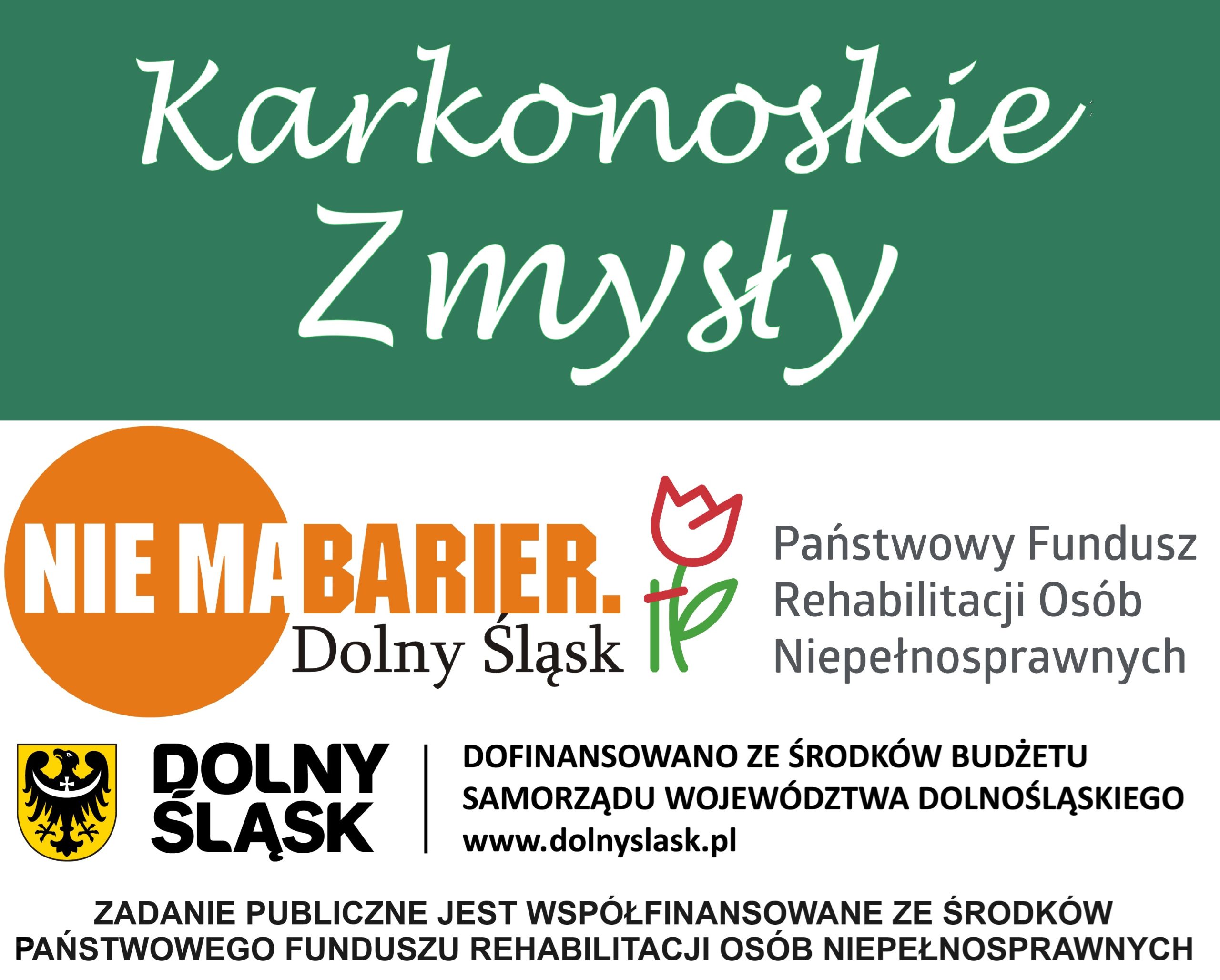 Read more about the article Projekt rehabilitacyjny dla dzieci z niepełnosprawnością intelektualną