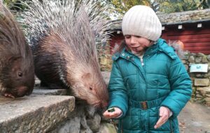 Read more about the article Magiczny czas w Zoo Görlitz – obdarowywanie zwierząt