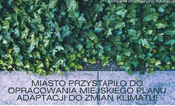 Read more about the article Zgorzelec przystąpił do opracowania miejskiego Planu Adaptacji do Zmian Klimatu