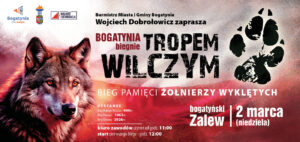 Read more about the article BOGATYNIA – Bieg Tropem Wilczym